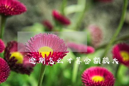 逾期怎么才算金额较大 逾期怎么才算金额较大