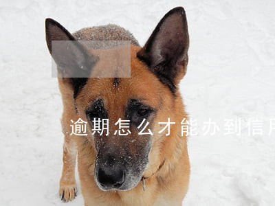 逾期怎么才能办到信用卡 逾期怎么才能办到信用卡