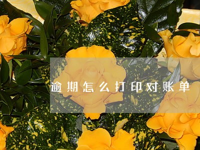 逾期怎么打印对账单 逾期怎么打印对账单