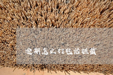 逾期怎么打电话拦截 逾期怎么打电话拦截