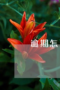 逾期怎么找人帮忙债务重组 逾期怎么找人帮忙债务重组
