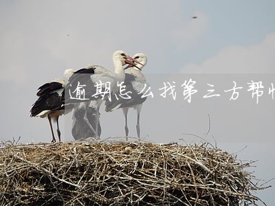 逾期怎么找第三方帮忙协商 逾期怎么找第三方帮忙协商