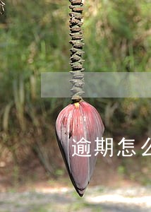逾期怎么挂账停止催收 逾期怎么挂账停止催收