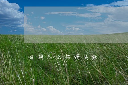 逾期怎么按揭贷款 逾期怎么按揭贷款