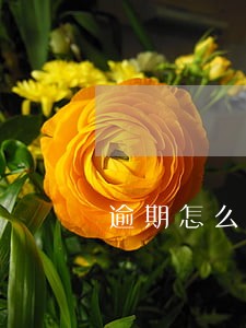 逾期怎么撤销还款 逾期怎么撤销还款