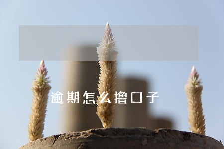 逾期怎么撸口子 逾期怎么撸口子