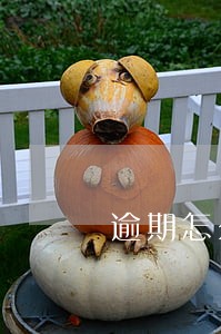 逾期怎么收到短信