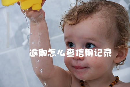 逾期怎么查信用记录 逾期怎么查信用记录