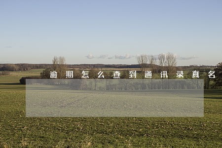 逾期怎么查到通讯录真名的 逾期怎么查到通讯录真名的