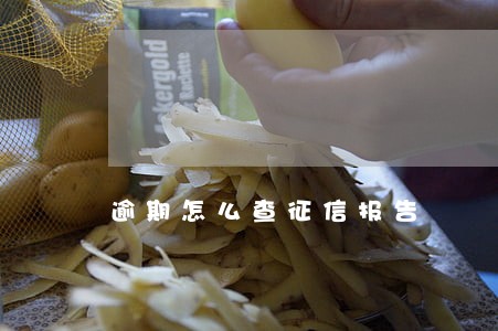 逾期怎么查征信报告 逾期怎么查征信报告