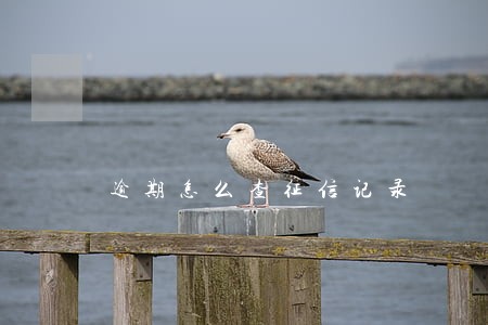 逾期怎么查征信记录 逾期怎么查征信记录