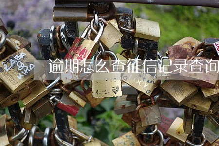 逾期怎么查征信记录查询 逾期怎么查征信记录查询