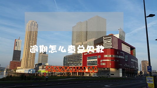 逾期怎么查总欠款 逾期怎么查总欠款