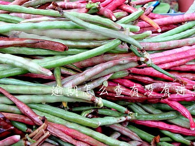 逾期怎么查有没有进黑名单 逾期怎么查有没有进黑名单