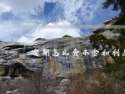 逾期怎么查本金和利息 逾期怎么查本金和利息