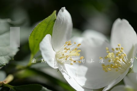 逾期怎么查询上没上黑名单 逾期怎么查询上没上黑名单