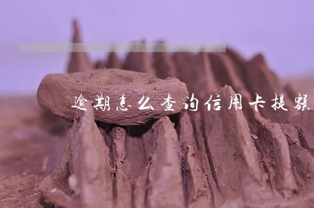 逾期怎么查询信用卡提额 逾期怎么查询信用卡提额