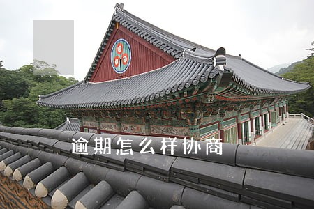 逾期怎么样协商 逾期怎么样协商