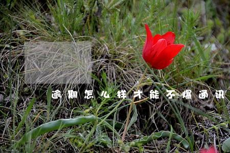 逾期怎么样才能不爆通讯录 逾期怎么样才能不爆通讯录