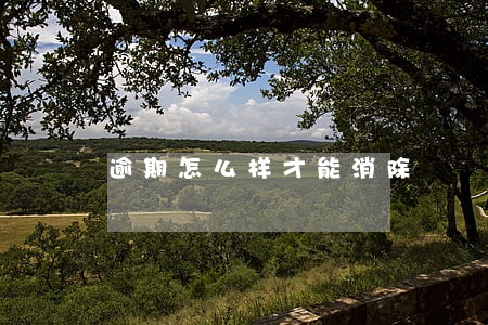 逾期怎么样才能消除 逾期怎么样才能消除