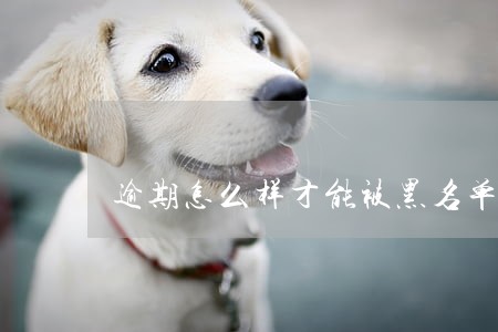 逾期怎么样才能被黑名单 逾期怎么样才能被黑名单