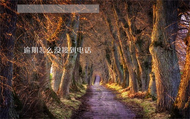 逾期怎么没接到电话 逾期怎么没接到电话