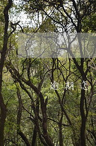 逾期怎么消除最有效 逾期怎么消除最有效