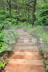 逾期怎么涨芝麻分 逾期怎么涨芝麻分