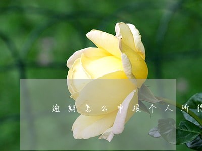 逾期怎么申报个人所得税计算器 逾期怎么申报个人所得税计算器