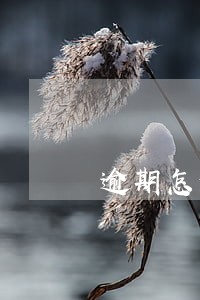 逾期怎么申请免检标志 逾期怎么申请免检标志