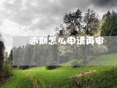 逾期怎么申请再审 逾期怎么申请再审