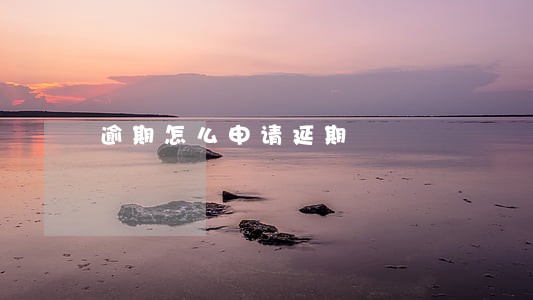 逾期怎么申请延期 逾期怎么申请延期