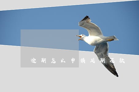 逾期怎么申请延期还款 逾期怎么申请延期还款