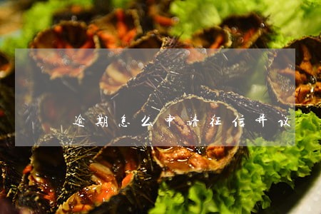 逾期怎么申请征信异议