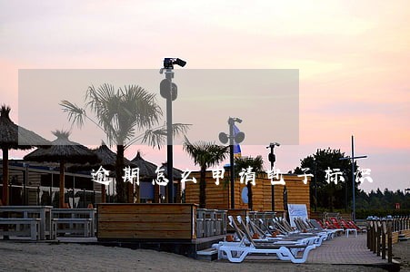 逾期怎么申请电子标识 逾期怎么申请电子标识