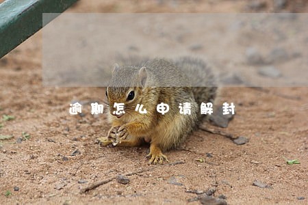 逾期怎么申请解封 逾期怎么申请解封