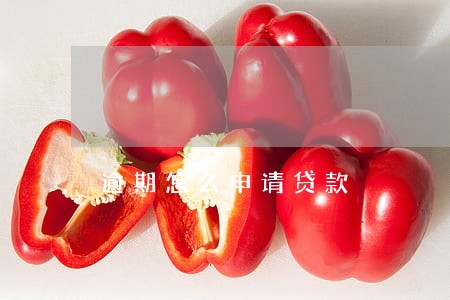 逾期怎么申请贷款 逾期怎么申请贷款