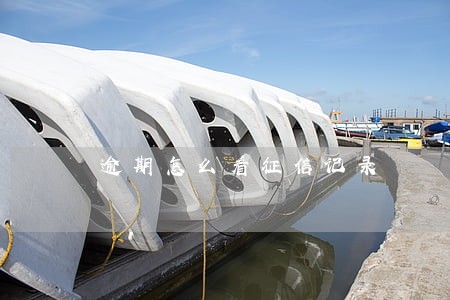 逾期怎么看征信记录 逾期怎么看征信记录
