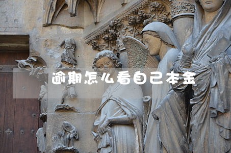 逾期怎么看自己本金 逾期怎么看自己本金