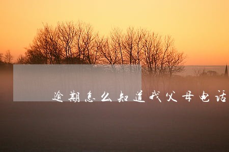 逾期怎么知道我父母电话 逾期怎么知道我父母电话