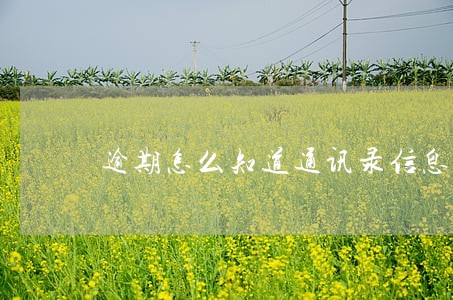 逾期怎么知道通讯录信息的 逾期怎么知道通讯录信息的