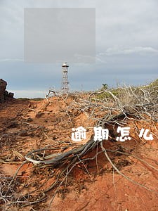 逾期怎么算利息不违法 逾期怎么算利息不违法