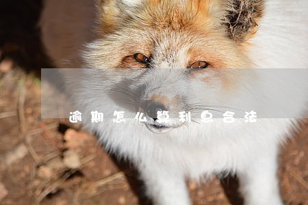 逾期怎么算利息合法 逾期怎么算利息合法