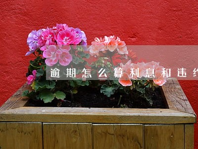 逾期怎么算利息和违约金 逾期怎么算利息和违约金