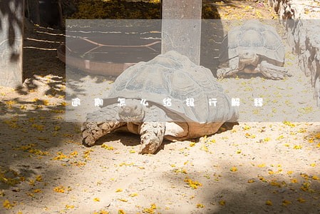 逾期怎么给银行解释 逾期怎么给银行解释