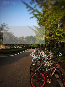 逾期怎么联系上家人的 逾期怎么联系上家人的