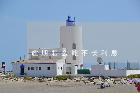 逾期怎么能不长利息 逾期怎么能不长利息