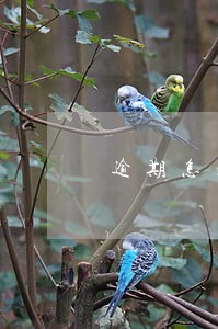 逾期怎么能办下信用卡 逾期怎么能办下信用卡