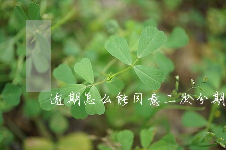 逾期怎么能同意二次分期 逾期怎么能同意二次分期