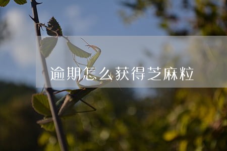逾期怎么获得芝麻粒 逾期怎么获得芝麻粒